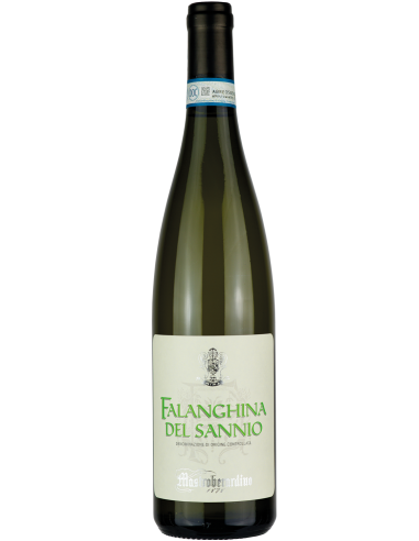 Falanghina del Sannio - Mastroberardino - Vini Bianchi