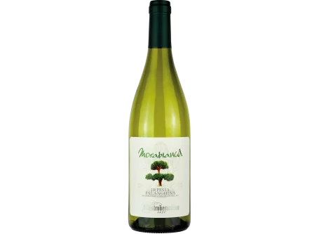 White WIine Morabianca Irpinia Falanghina DOC - Mastroberardino - White Wines