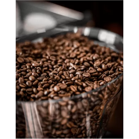 Blend of Coffee Beans Athena - Caffè Partenope - Coffee beans, ground coffee and coffee pods