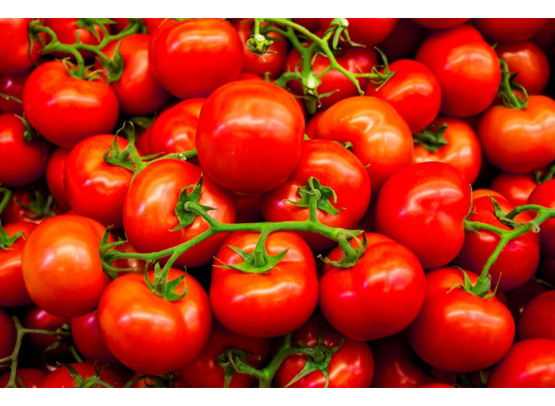 Tomatoes - Masseria Antonio Esposito Ferraioli - Home