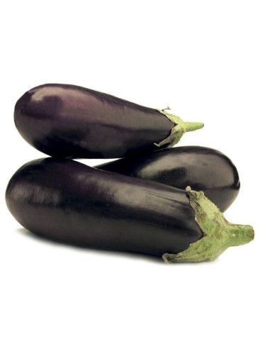 Eggplants - Masseria Antonio Esposito Ferraioli - Vegetables