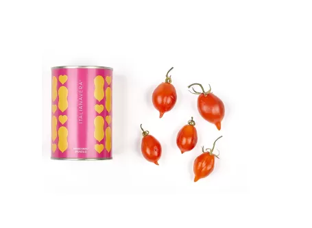 Spunzillo del Vulcano tomato - Veropop Line - 12 cans - Italiana Vera - Sauces and Tomato Sauces