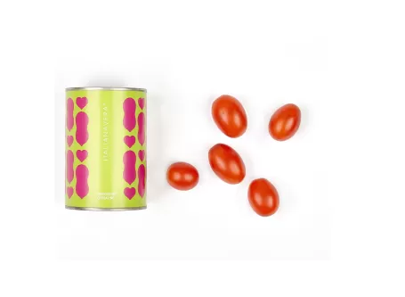 Pomodorino Corbarino - Linea Veropop - 12 Dosen - Italiana Vera - Saucen und Pürees