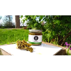 Friarielli en Sommités - 210 g - Officine Contadine - Aliments en Boîte et Conserves