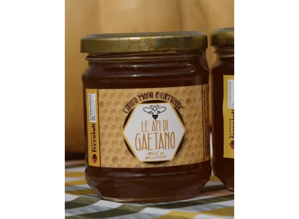 Miel Millefleurs Artisanal - Masseria Antonio Esposito Ferraioli - Miel