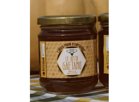 Artisanaler Tausendblütenhonig - Masseria Antonio Esposito Ferraioli - Honig