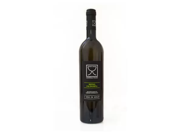 Falanghina Irpinia DOC 750ml - Cantina Riccio - Vins