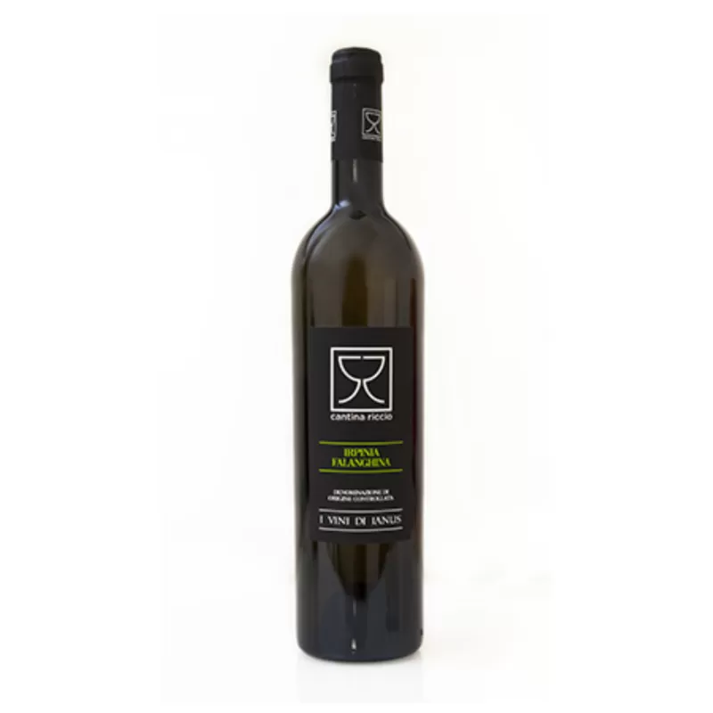 Falanghina Irpinia DOC 750ml - Cantina Riccio - Weine