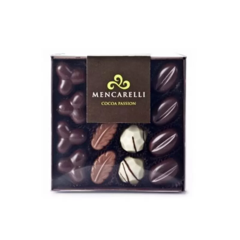 Boîte transparente de 16 pralines assorties - Mencarelli - Chocolats et Gourmandises