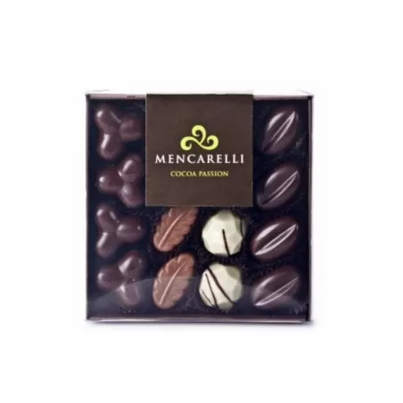 Boîte transparente de 16 pralines assorties - Mencarelli - Chocolats et Gourmandises