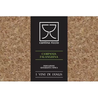 Falanghina IGT Campanie - Cantina Riccio - Cantina Riccio - Vins Blancs