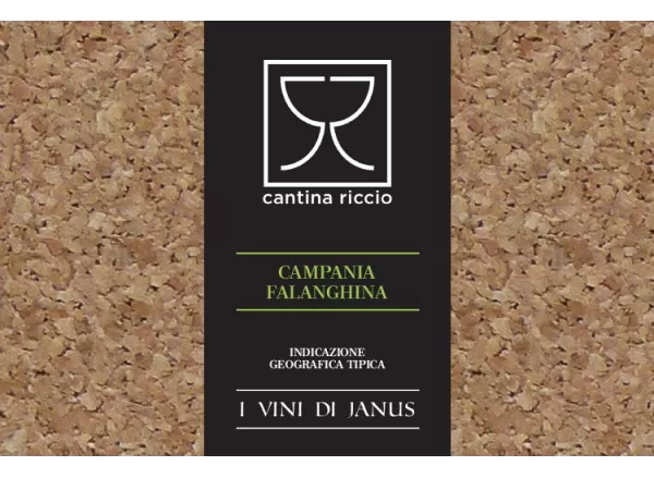 Falanghina IGT Campania - Cantina Riccio - Cantina Riccio - Vini Bianchi 2