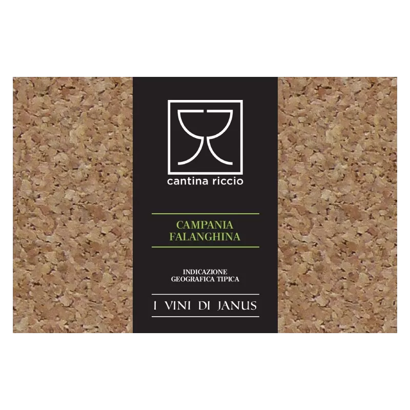 Falanghina IGT Campania - Cantina Riccio - Cantina Riccio - Weiße Weine