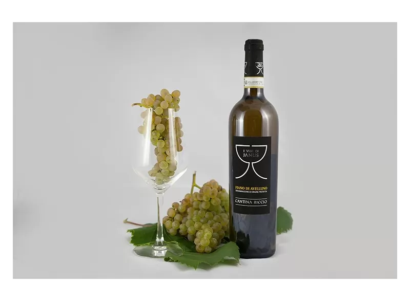 Fiano di Avellino Wine DOCG of Cantina Riccio - Cantina Riccio - White Wines