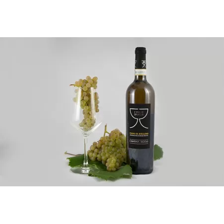 Fiano di Avellino DOCG von Cantina Riccio - Cantina Riccio - Weiße Weine