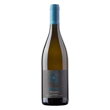 Luna Turchese - Falanghina Wine by Tenuta Le Lune Del Vesuvio | St...