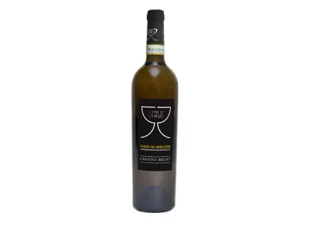Selection of Cantina Riccio Wines - Pack of 6 bottles - Cantina Riccio - Wines