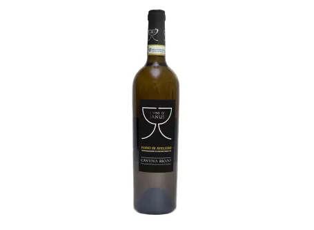 Selection of Cantina Riccio Wines - Pack of 6 bottles - Cantina Riccio - Wines