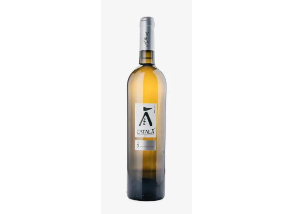 Katalanischer Catalanesca I.G.P. Barrique Riserva 12 Monate von Montesommavesuvio - Azienda Agricola Vitivinicola Montesommavesu