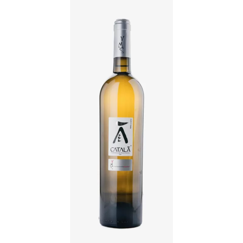 Català Catalanesca I.G.P. 12-month reserve barrique of Montesommavesuvio - Azienda Agricola Vitivinicola Montesommavesuvio - ...