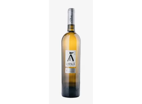 Katalanischer Catalanesca I.G.P. Barrique Riserva 12 Monate von Montesommavesuvio - Azienda Agricola Vitivinicola Montesommavesu