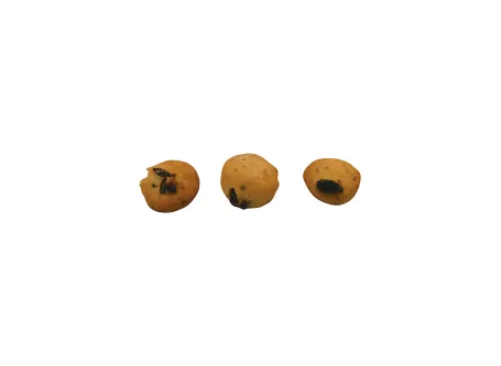 Pepite di tarallo mit gebratenen Zwiebeln und Rosinen - 90g von Fior di Borgo | ...