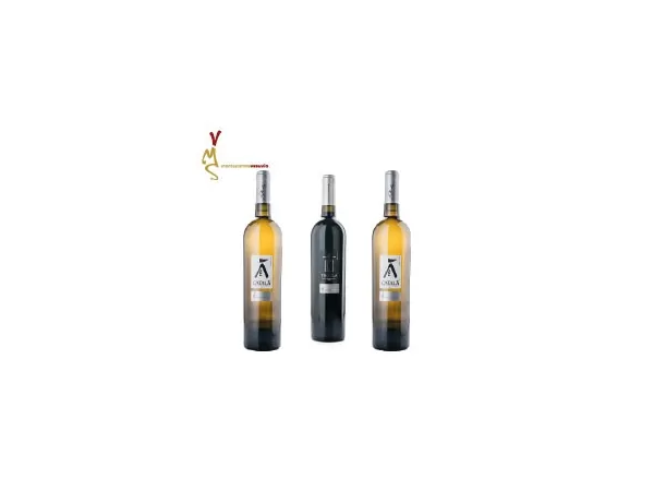 Selezione vini barrique di Montesommavesuvio - Confezione da 3 bottiglie - Azienda Agricola Vitivinicola Montesommavesuvio - ...