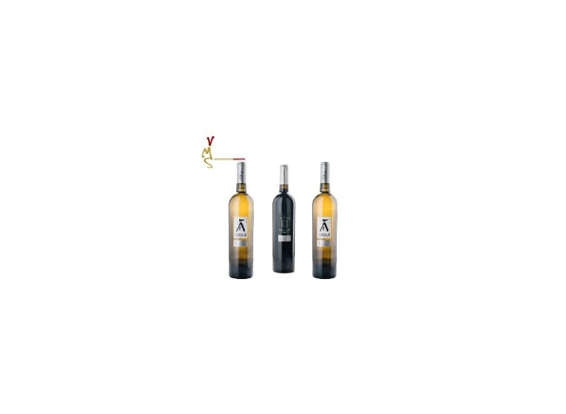 Sélection de vins barrique de Montesommavesuvio - Paquet de 3 bouteilles - Azienda Agricola Vitivinicola Montesommavesuvio - ...