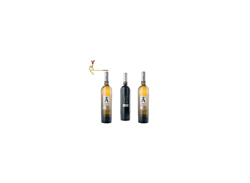 Selezione vini barrique di Montesommavesuvio - Confezione da 3 bottiglie - Azienda Agricola Vitivinicola Montesommavesuvio - ...
