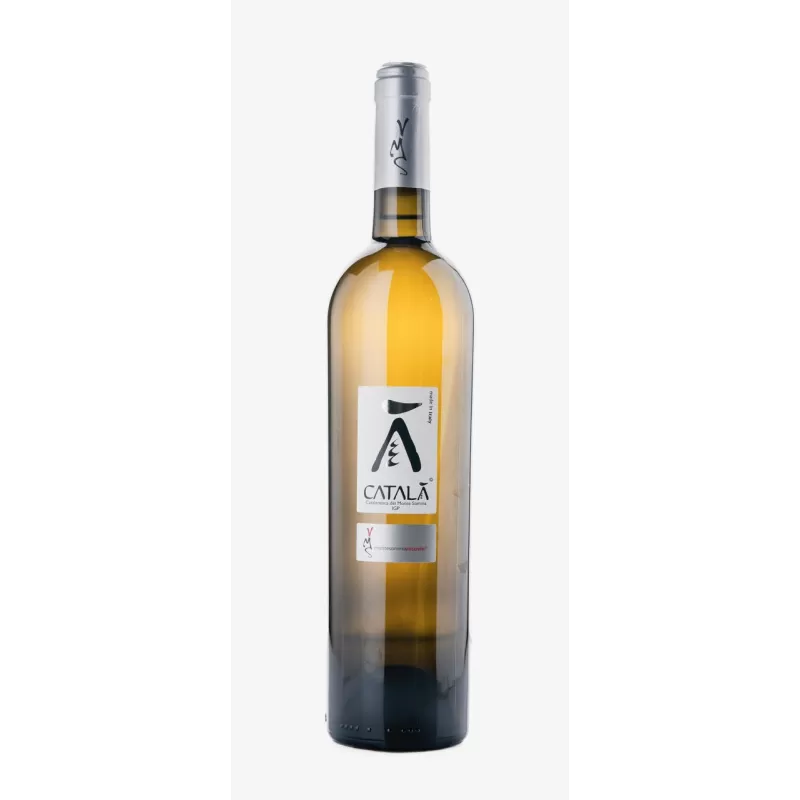 Auswahl an Barrique-Weinen von Montesommavesuvio - Paket mit 3 Flaschen - Azienda Agricola Vitivinicola Montesommavesuvio - ...