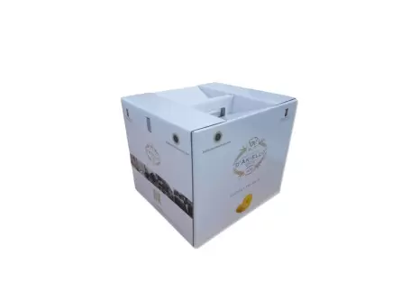 Pasta di Gragnano IGP Small Gift Box by Pastificio D'Aniello | Sto...