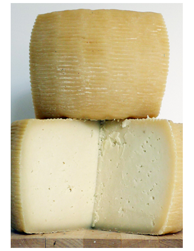 Pecorino Bagnolese - Semi-aged cheese - Azienda Agricola di Buccino Pasquale - Fresh and Aged Cheeses