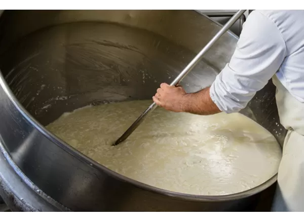 Pecorino Bagnolese - Semi-aged cheese by Azienda Agricola di Bucci... 2