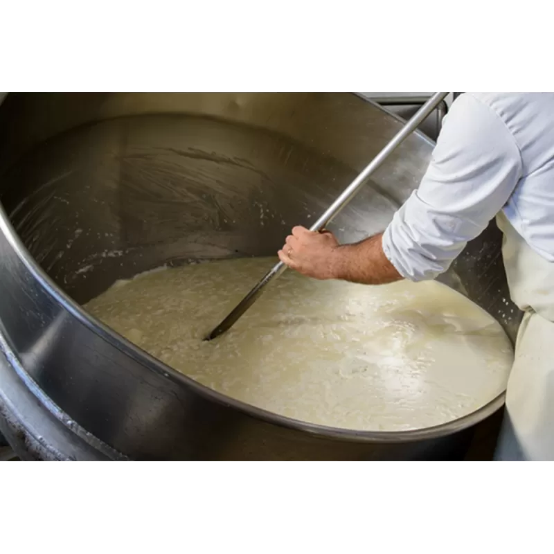Pecorino Bagnolese - Fromage semi-affiné - Azienda Agricola di Buccino Pasquale - Fromages frais et affinés