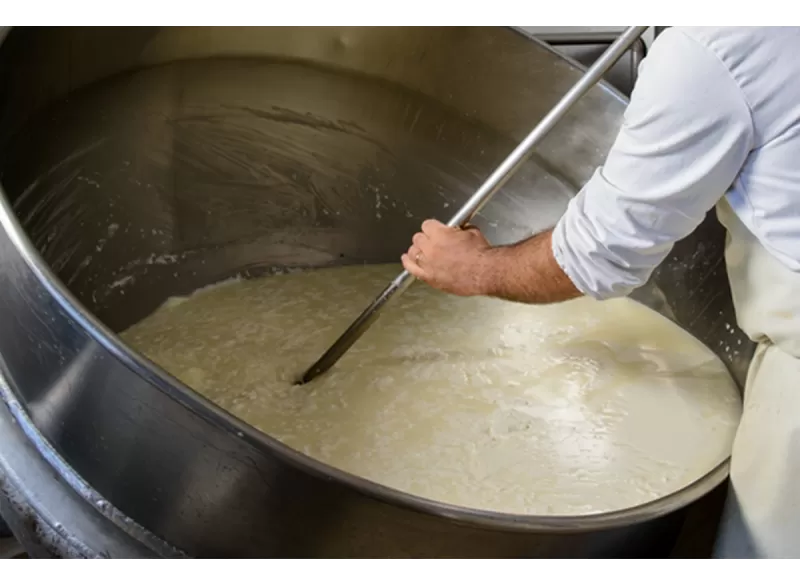 Pecorino Bagnolese - Semi-aged cheese - Azienda Agricola di Buccino Pasquale - Fresh and Aged Cheeses
