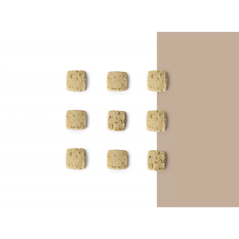 Biscotti salati - acciughe e cipolla - Pasticceria Giotto Oltre la Dolcezza - Biscotti Salati