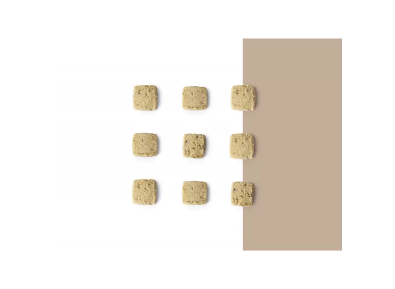 Salzige Kekse - Sardellen und Zwiebel - Pasticceria Giotto Oltre la Dolcezza - Salzige Kekse