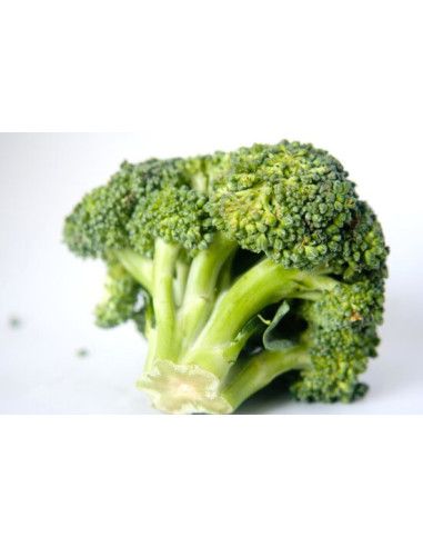 Fresh Broccoli from Bari -  - Vegetables