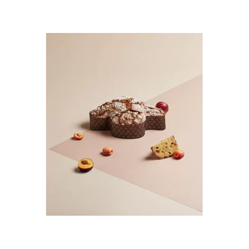 Handgefertigte Pfirsich- und Aprikosen-Colomba - Pasticceria Giotto Oltre la Dolcezza - Traditionelle Süßspeisen