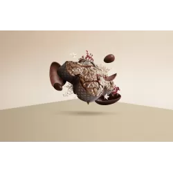 Handgemachte Schokoladentaube - Pasticceria Giotto Oltre la Dolcezza - Traditionelle Süßigkeiten 2