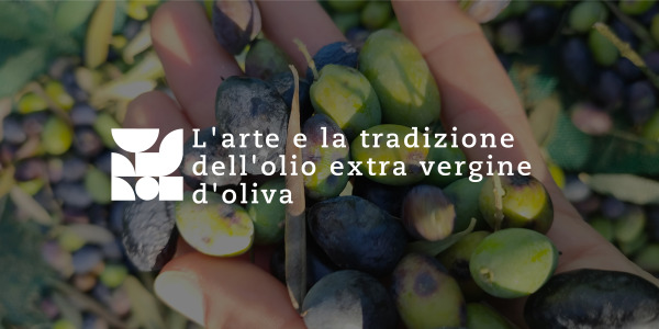 L’arte e la tradizione dell’olio extravergine d’oliva