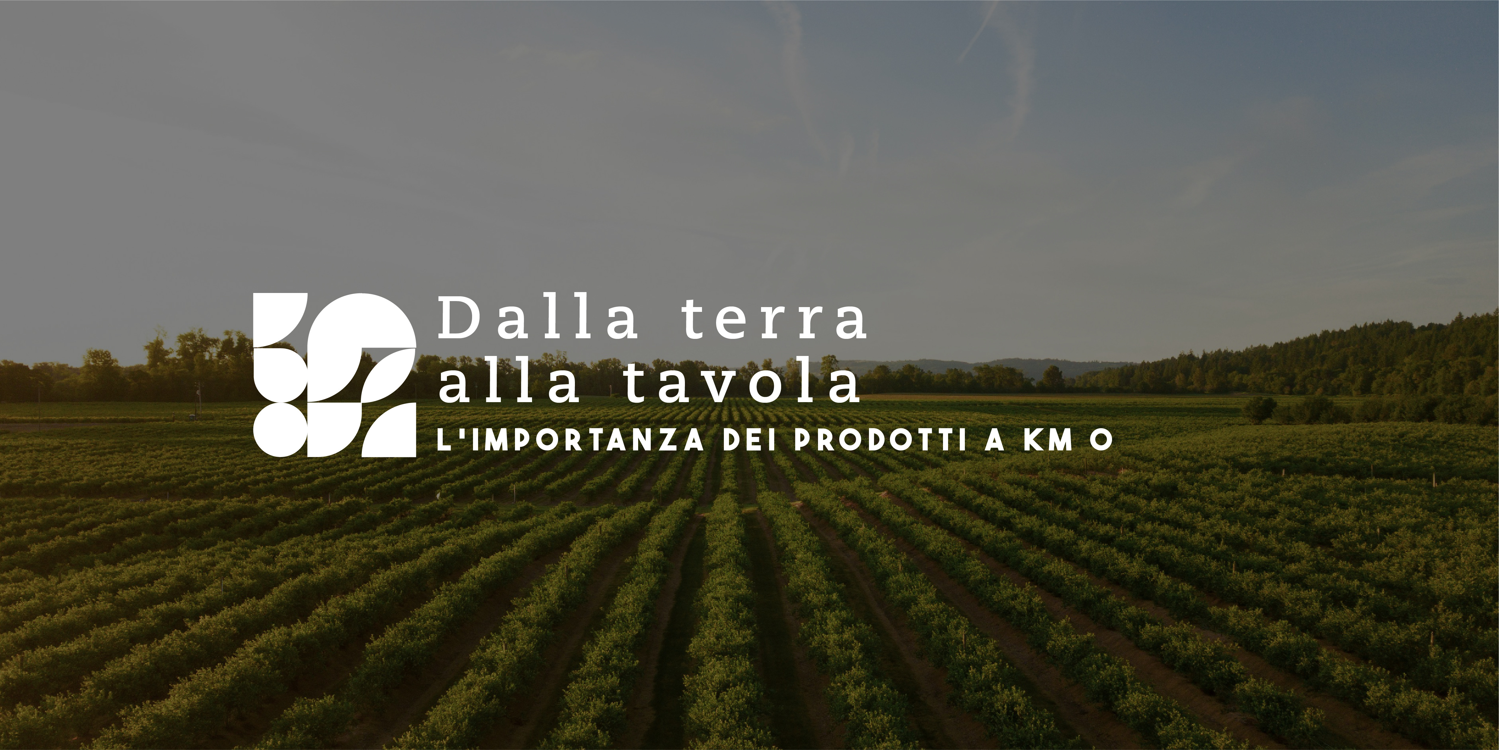 Dalla terra alla tavola: l’importanza dei prodotti a km 0